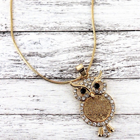 2/$15- Crystal Trimmed Goldtone Owl Necklace - Picture 1 of 1